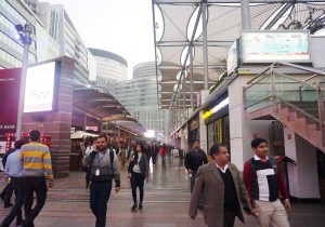 インドで魚屋を始めた日本人弁護士