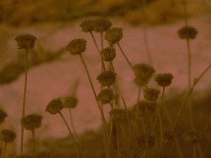 私の知らないことを身をもって教えてくれた彼。少し私は大人になった