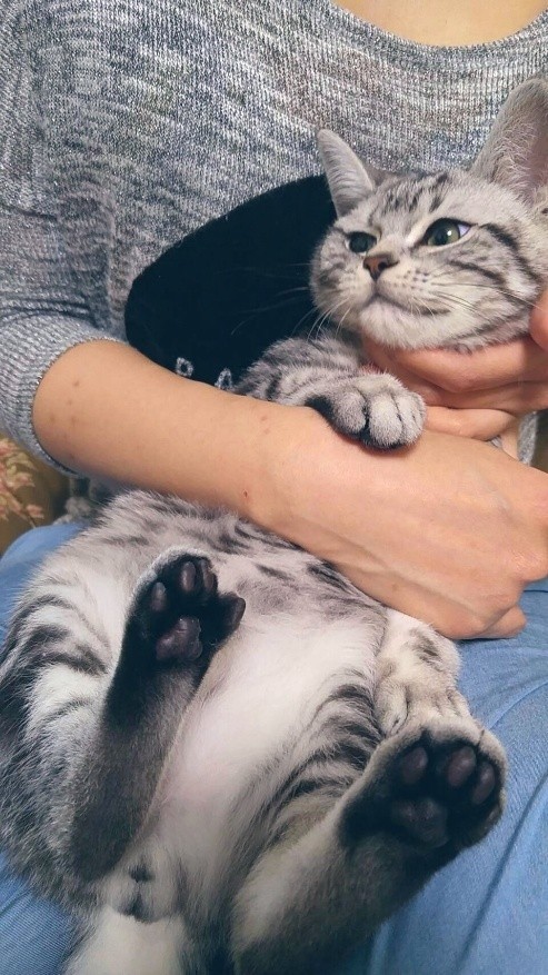 生後1歳ほどのころ