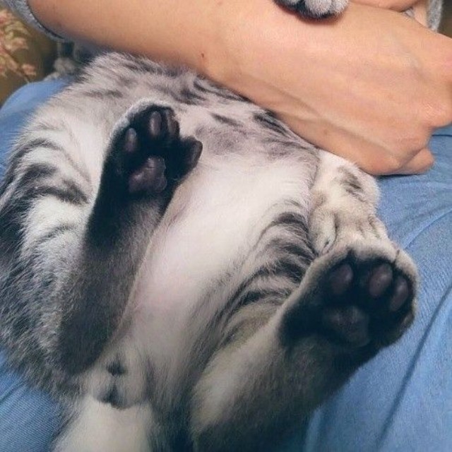 生後1歳ほどのころ