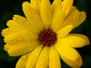 雨のせいか皆の笑顔が曇った入学式。私には「祝福」に感じた