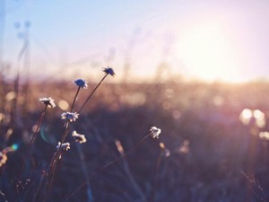 見返りと母の価値観を捨てて見つけた、私が幸せでいられる方法