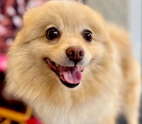 ついにフィーネの元に「迎え入れたい」の声が！