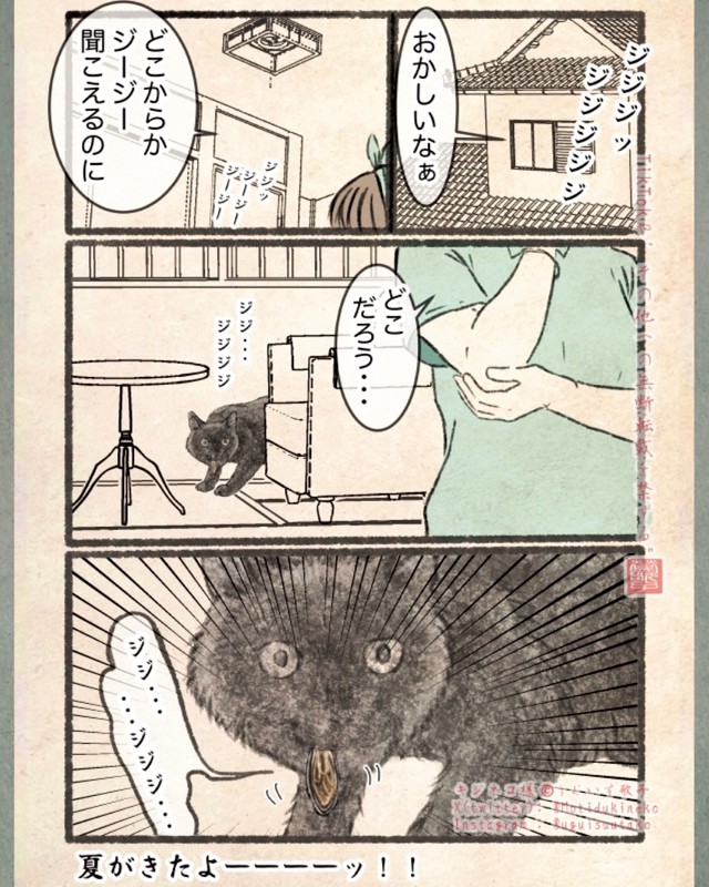 【漫画】『今日もネコ様の圧が強い』3　©Uguisu Utako