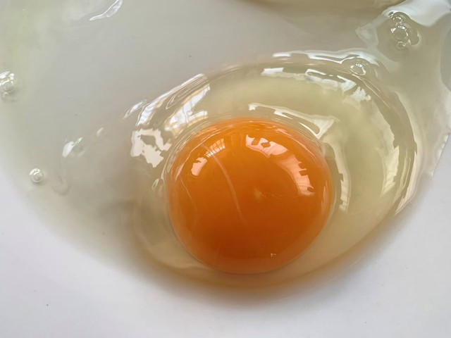 撮った写真③ ※Yasさん提供