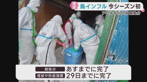 宮城・角田市の農場で鳥インフルエンザ確認　アヒル９０００羽の処分が始まる