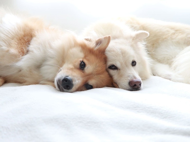 いつもいるのが普通だと思っている人たち