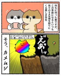 【漫画】『知的好奇心が地獄を引き寄せた話』3（ゆう｜ノープロブレムキャットさん提供）