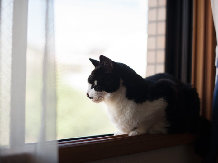 「外は眺めるもの。出るもんじゃないな」（小林写函撮影）