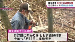 東日本大震災で児童ら犠牲　追悼の竹灯籠　材料の切り出し作業　宮城・石巻市の大川小