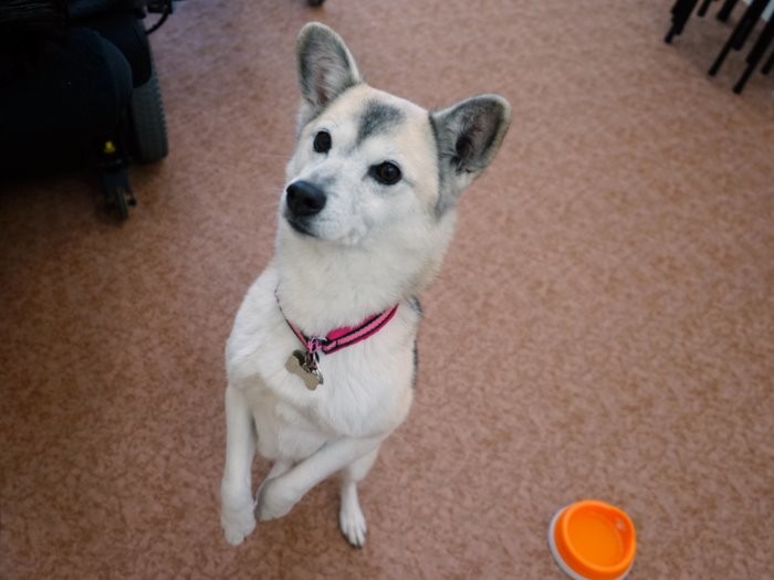 おかわりくだい！