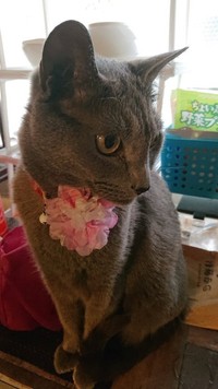 10歳頃の元気な姿