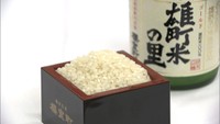 岡山県産の酒米「雄町米」を食べて応援を　輸出や飲食店への出荷減少で…〈新型コロナ〉