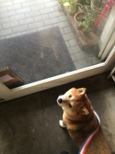 都内にいたころ、お散歩がてらよくカフェに行っていた