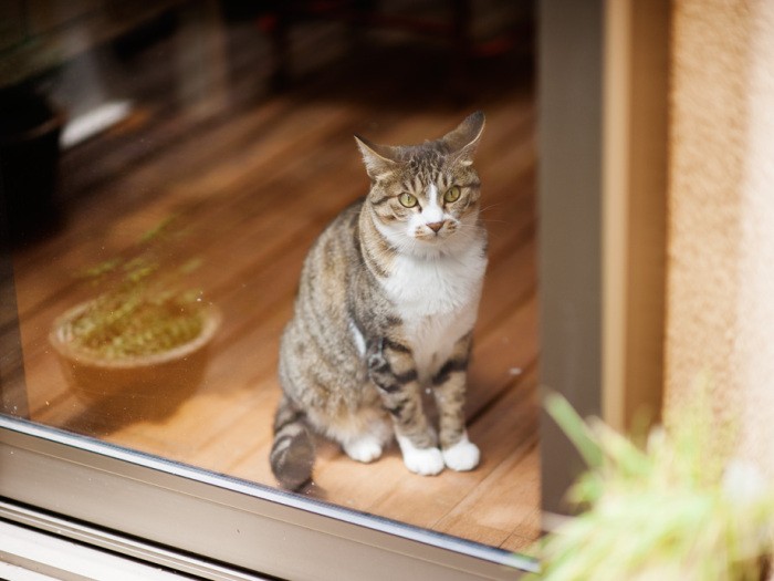 「ここの家にいれば安心なんだ」（小林写函撮影）
