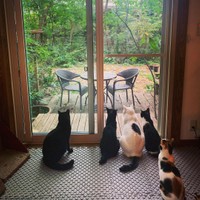 みんなでおしゃべり