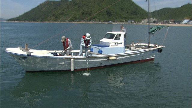 海水浴シーズンを前に渋川で水質調査　透明度は国の基準をクリア　岡山・玉野市