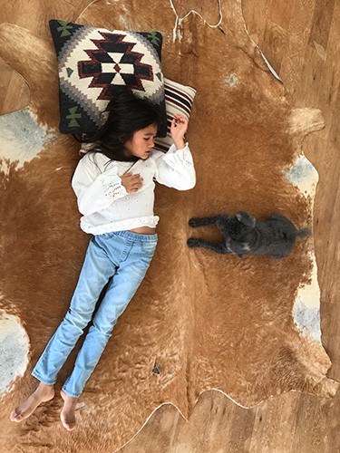 のんびり日曜日