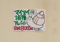 これは2年前に見かけたもの（まひまひのつぶりさん提供）