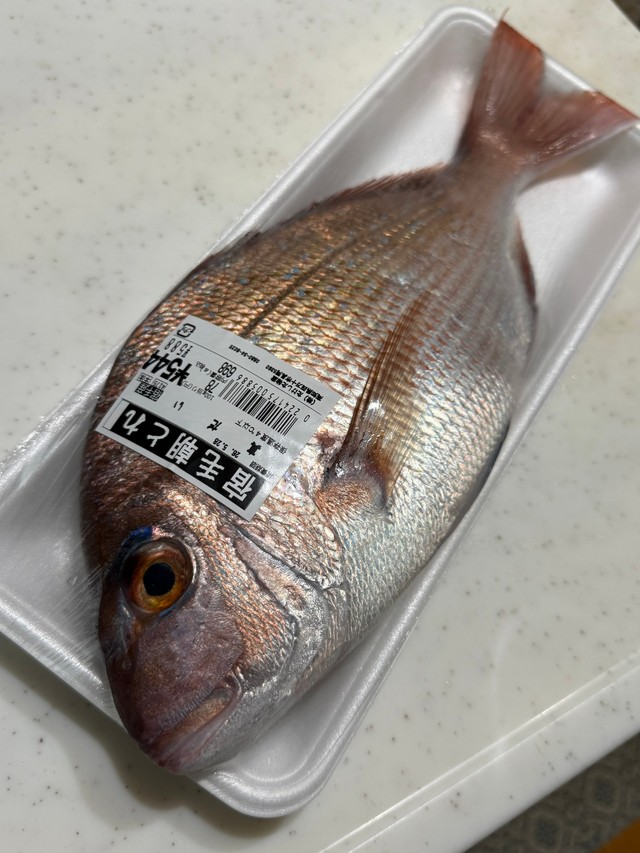 近所の魚屋で買った588円の鯛。ていねいに調理すると…／simanto工房さん（@simantokoubou）提供