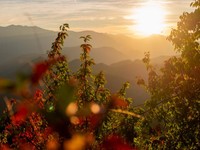 社会が変わるのは正直怖い。それでも、理解しようとするのを諦めない