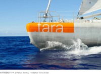 科学探査船タラ号