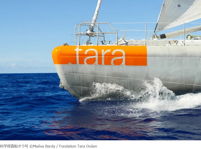科学探査船タラ号
