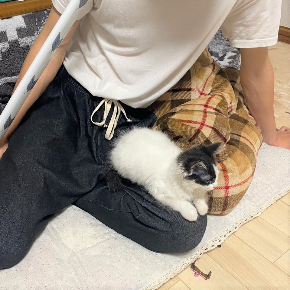 ここをあけてください！」早朝、玄関先で子猫の鳴き声が…まんまとNNNの