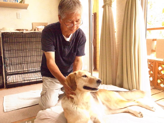 ２匹のことが可愛くて仕方がないお父さん