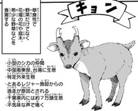 山に踏み入れるとキョンの痕跡ばかり　(c) Aoba / KADOKAWA