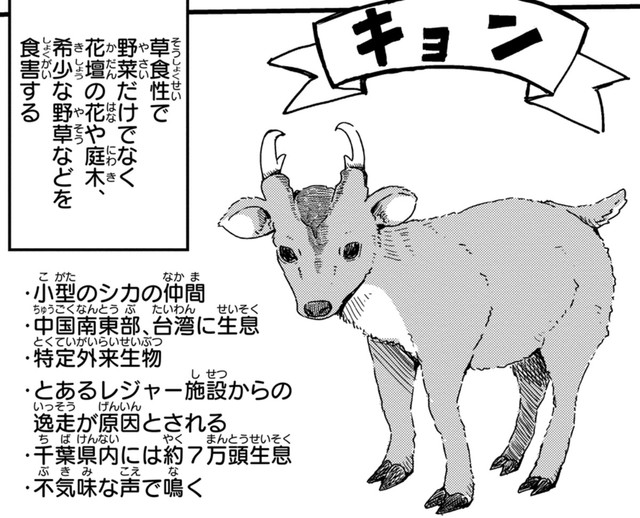 山に踏み入れるとキョンの痕跡ばかり　(c) Aoba / KADOKAWA