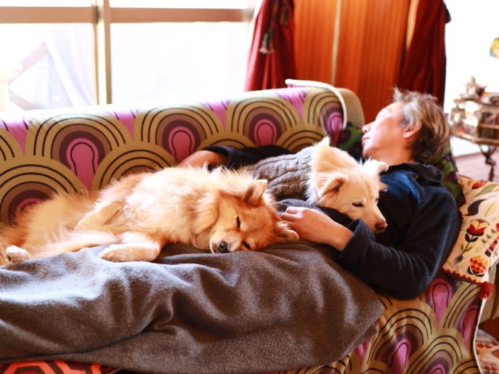 草むしりに疲れて昼寝する私と大福