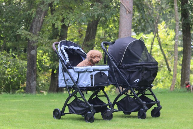 ファーストドッグカート