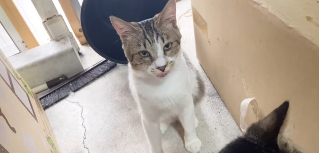 食べることが大好きな子だった