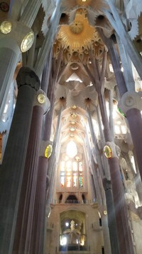 サグラダファミリアの中から眺める景色（提供：はせ 世界一周さん）