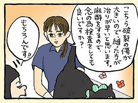 長老猫「岩海苔」、お尻破裂の衝撃から数時間後　さらに深刻な健康問題が待っていた