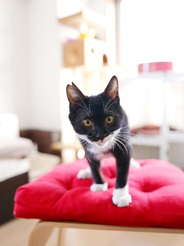 すくすく成長。