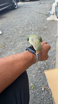 無事、飼い主が見つかって良かったですね。 ※GRtakuya店長提供