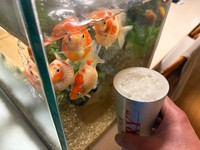 わらわら～（画像提供：鼓太郎さん）