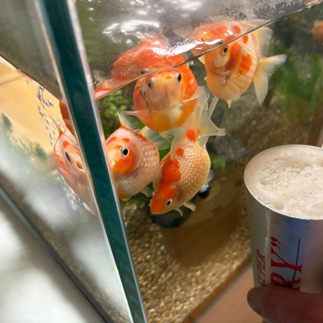 わらわら～（画像提供：鼓太郎さん）