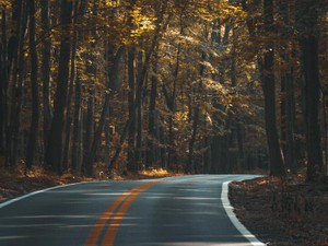 転職先が決まり、退職を伝えたのに。激務の仕事に感じていた「未練」