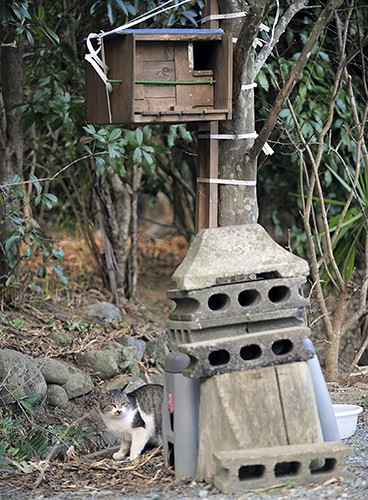 2014年　楢葉町に取り付けた餌箱