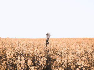 かつての恋愛感情は友情へと昇華されていた。過ぎた日の淡い思い出