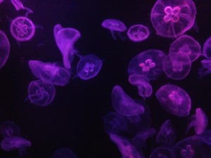 知り合った彼にスイッチが入った。恋愛は私に安らぎを与えてくれない