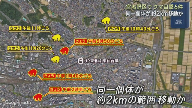 住宅地でクマの目撃が相次ぐ　同一個体か　仙台・宮城野区