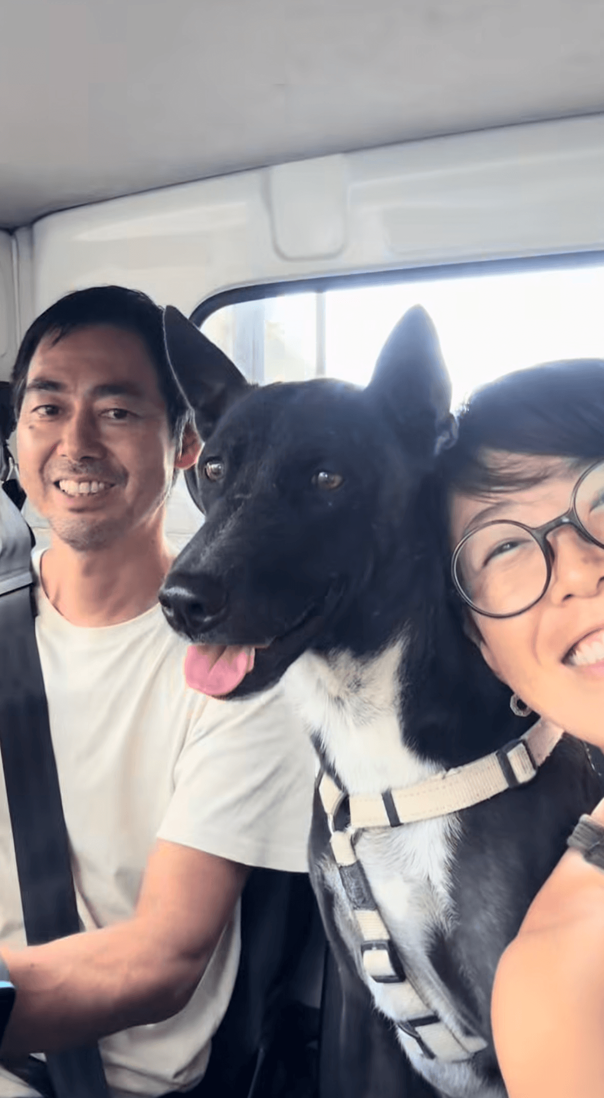 夫婦で犬猫の保護活動をしている／ぱんはな家さん（@pan._.hana）提供