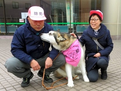 愛犬と散歩しながら街を見守り　「防犯ウォーキング犬」