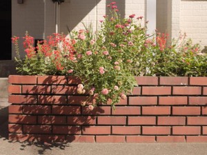 失うことが怖かった私が、新しい私に変わった夏の日。