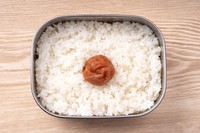 炊いたごはんを持っていくだけでも…※画像はイメージです（promolink/stock.adobe.com）
