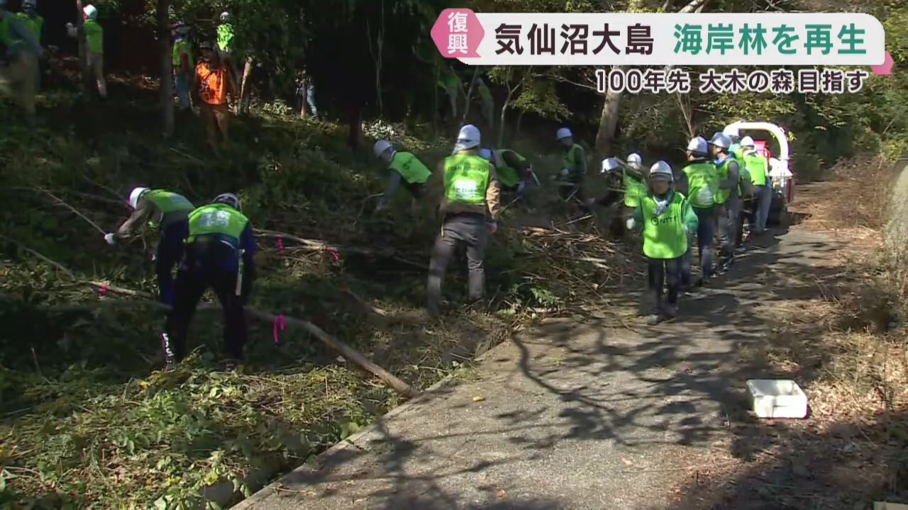 東日本大震災で被災した海岸林の再生活動　宮城・気仙沼市大島